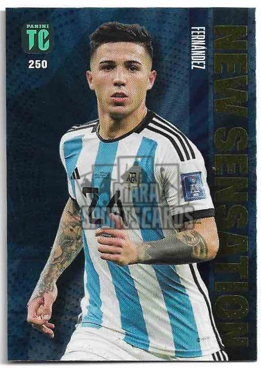 FOTBALOVÁ REPREZENTACE | New Sensation ENZO FERNANDEZ 2023 Panini