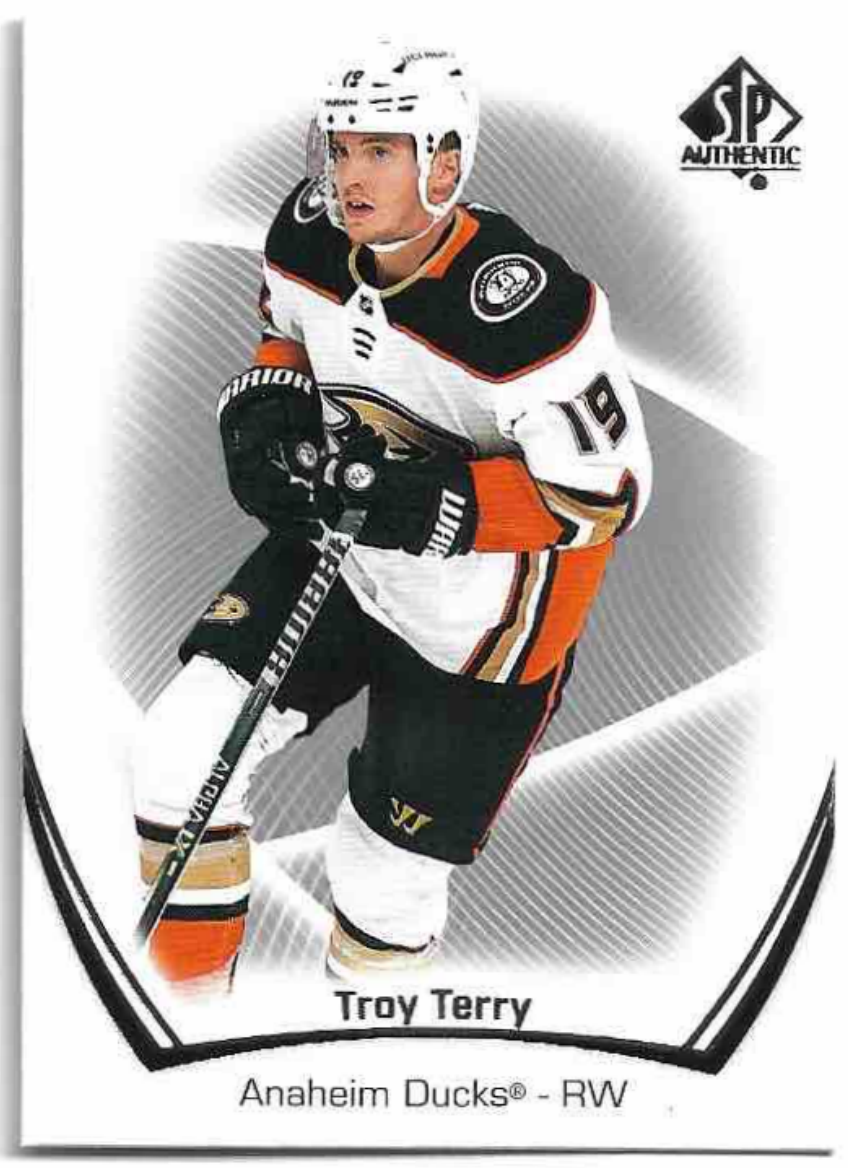 TROY TERRY 21-22 UD SP Authentic