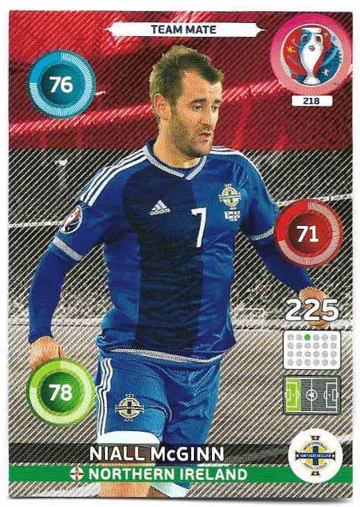 NIALL MCGINN 2016 UEFA Euro France